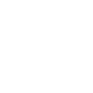 Aluvetro