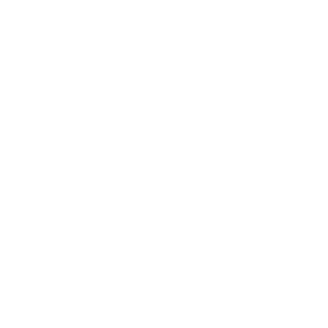 Shark Net